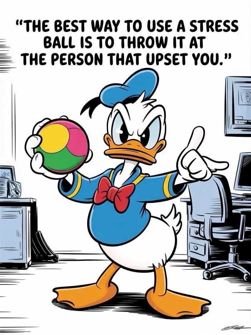 THE BEST WAY TO USE A STRESS BALL IS TO THROW IT AT THE PERSON THAT UPSET YOU.