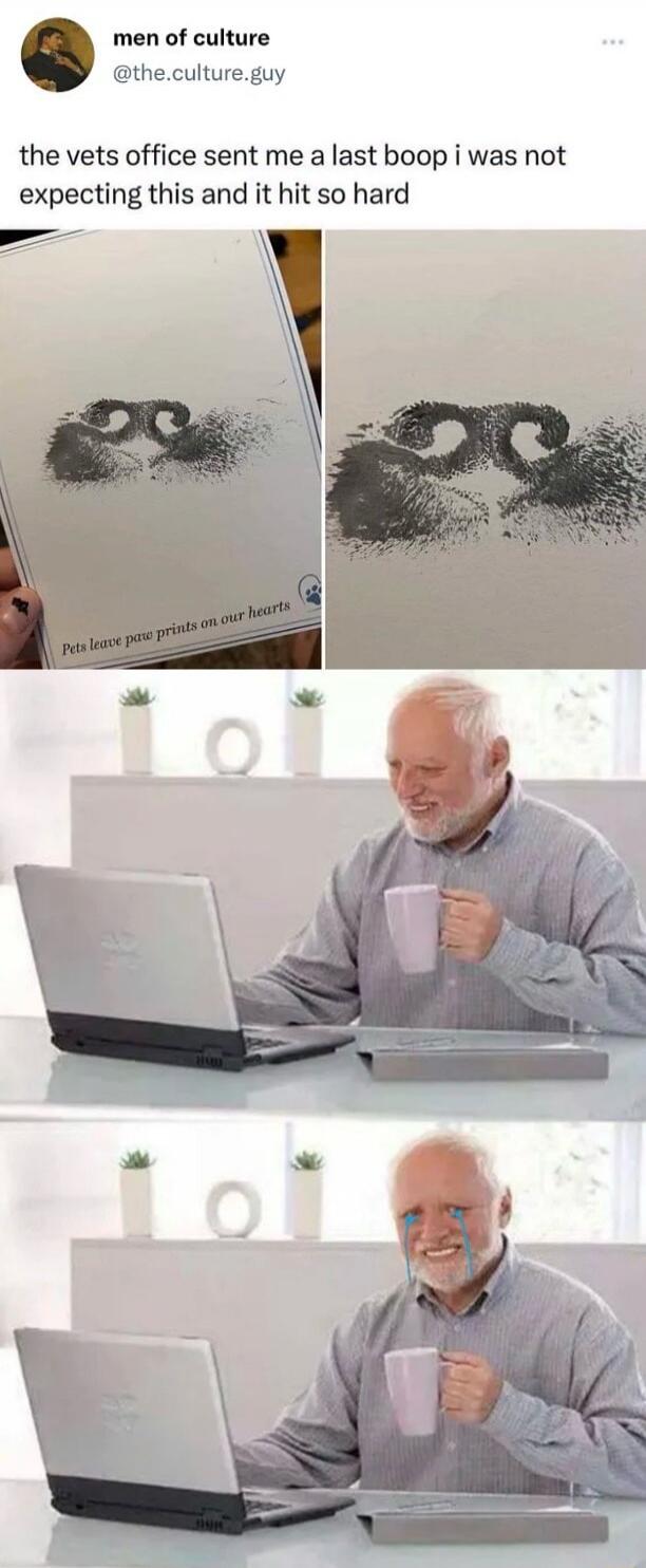 the vets office sent me a last boop i was not expecting this and it hit so hard
Pets leave paw prints on our hearts