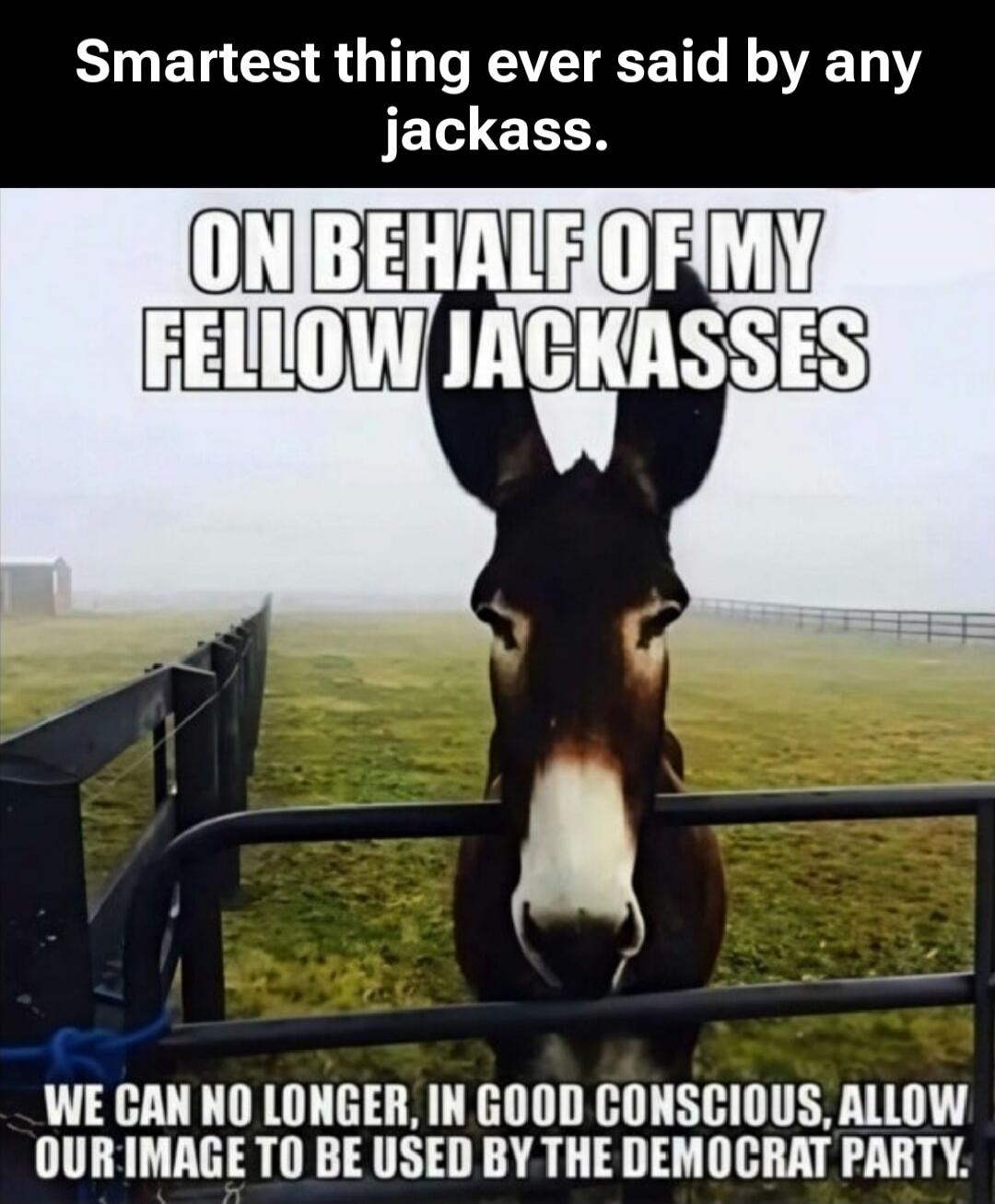 Smartest thing ever said by any jackass. ON BEHALF OF MY FELLOW JACKASSES WE CAN NO LONGER, IN GOOD CONSCIOUS, ALLOW OUR IMAGE TO BE USED BY THE DEMOCRAT PARTY.