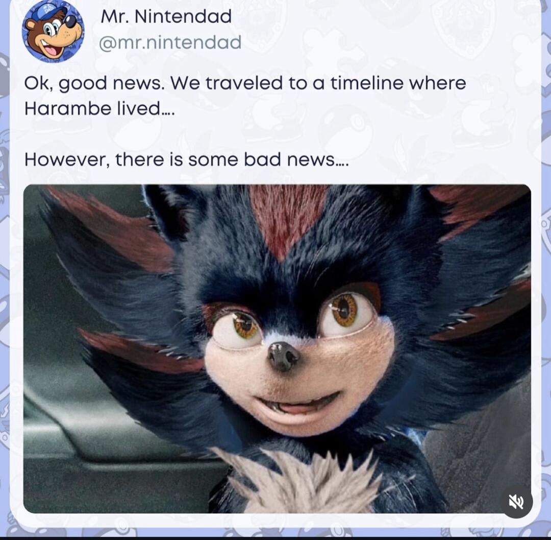 Mr Nintendad Ok good news We traveled to a timeline where Harambe lived However there is some bad news