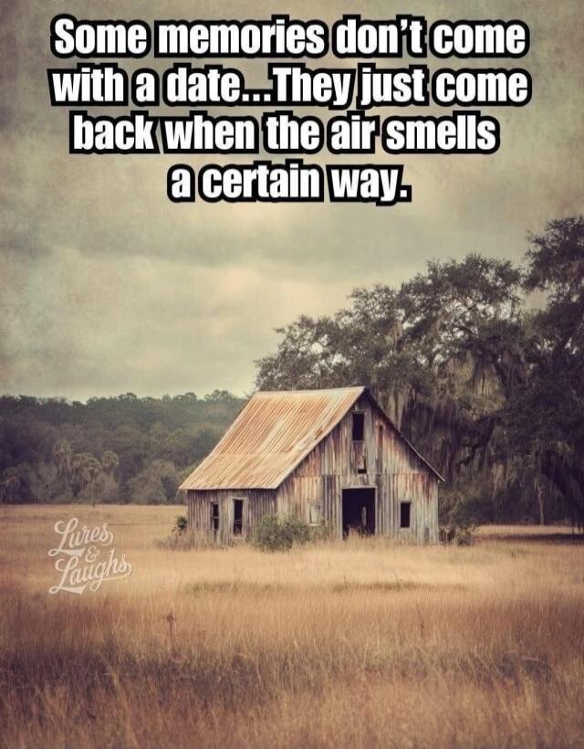 Some memories don't come with a date... They just come back when the air smells a certain way. Lures & Laughs