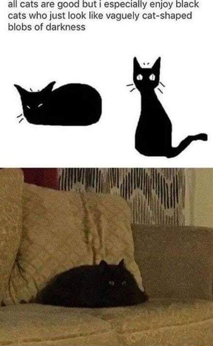 all cats are good but especially enjoy cats who just look like vaguely cat shaped blobs of darkness