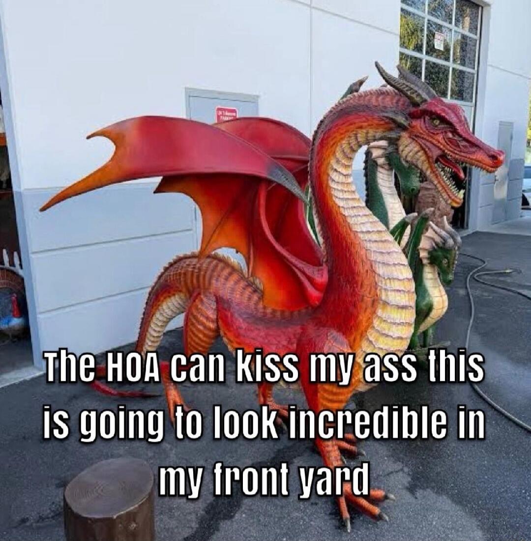 The HOA can kiss my ass this is going to look incredible in my front yard
