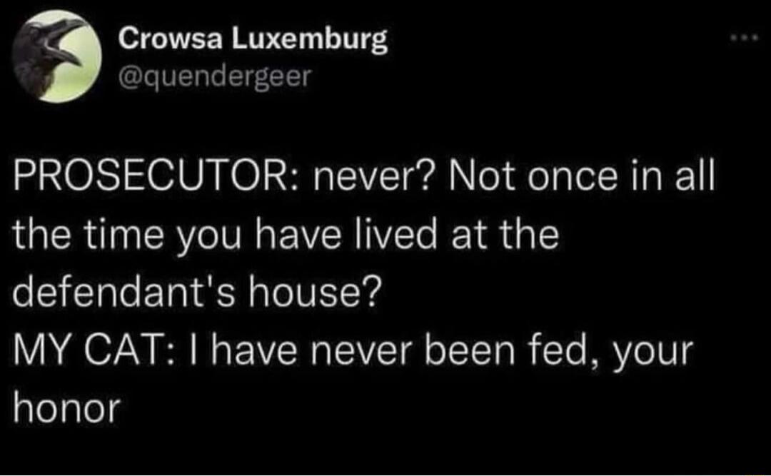 3 Crowsa Luxemburg quendergeer PROSECUTOR never Not once in all QORI ROV EVERVETe I defendants house MY CAT have never been fed your honor