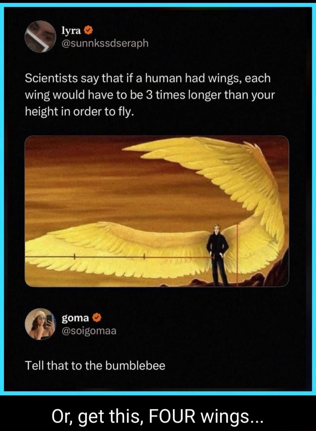 Scientists say that if a human had wings, each wing would have to be 3 times longer than your height in order to fly. Tell that to the bumblebee. Or, get this, FOUR wings...