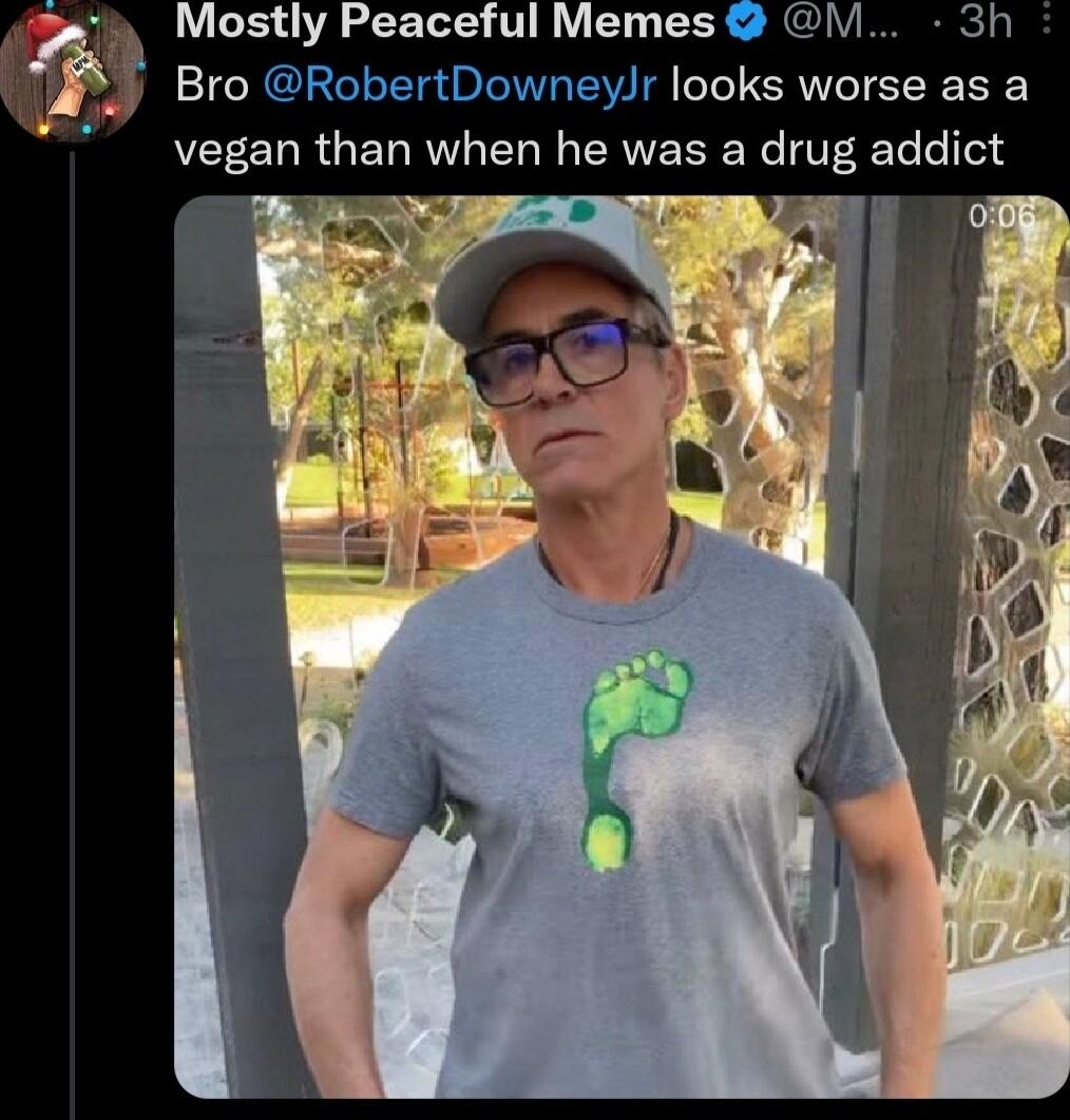 7 Mostly Peaceful Memes I Bro RobertDowneyJr looks worse as a vegan than when he was a drug addict Os37r 10A795 Q9387