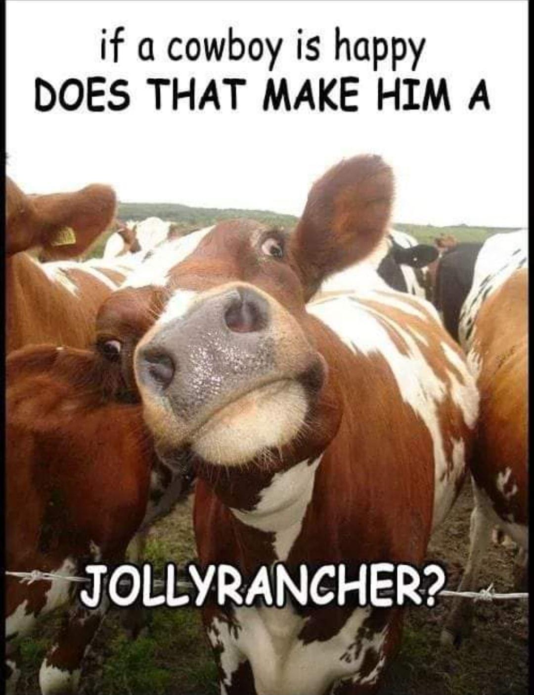 if a cowboy is happy DOES THAT MAKE HIM A 77 JOLLYRANCHER
