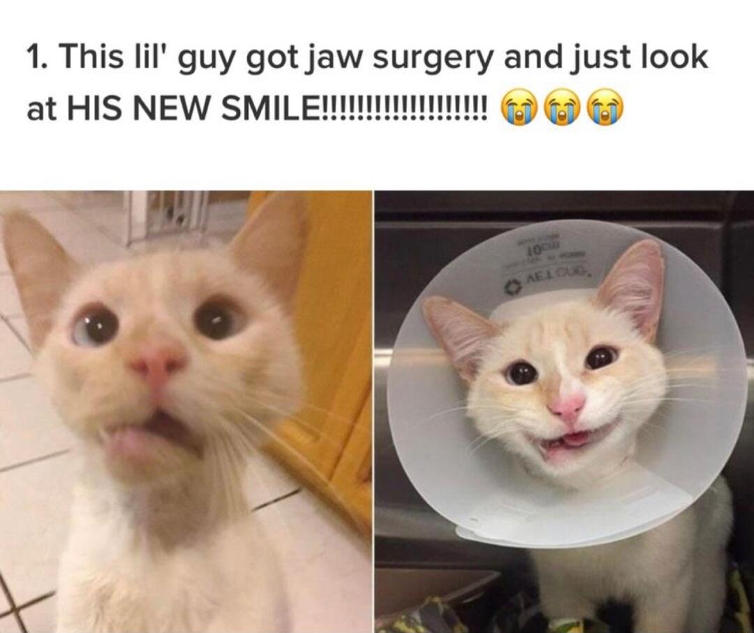 1 This lil guy got jaw surgery and just look at HIS NEW SMILE