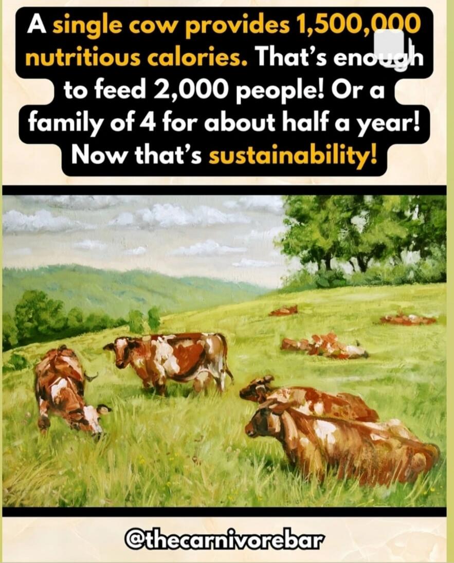 A single cow provides 1,500,000 nutritious calories. That's enough to feed 2,000 people! Or a family of 4 for about half a year! Now that's sustainability! @thecarnivorebar
