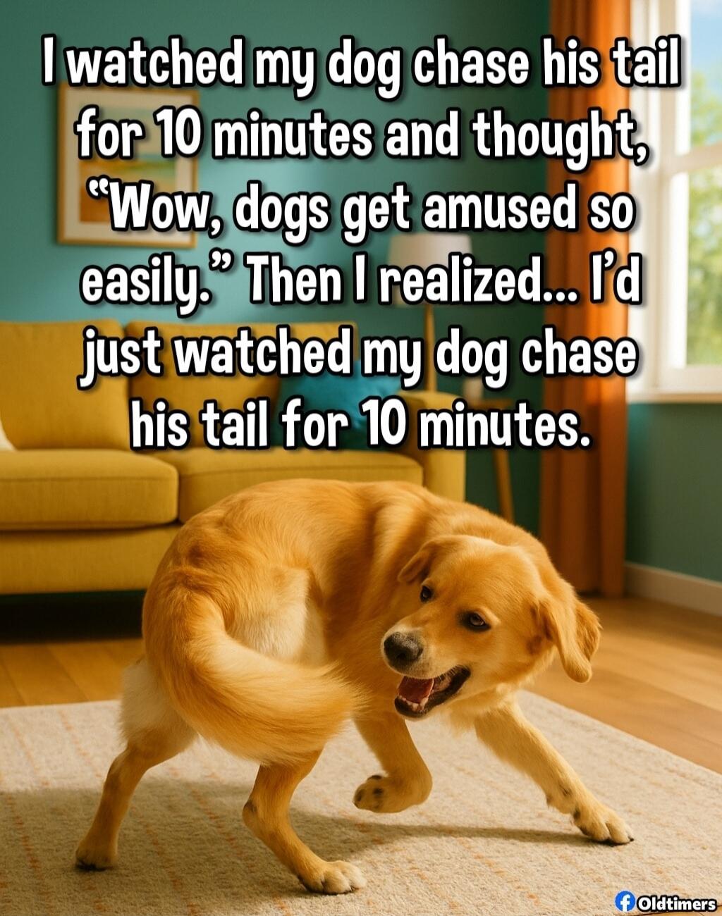 I watched my dog chase his tail for 10 minutes and thought, 