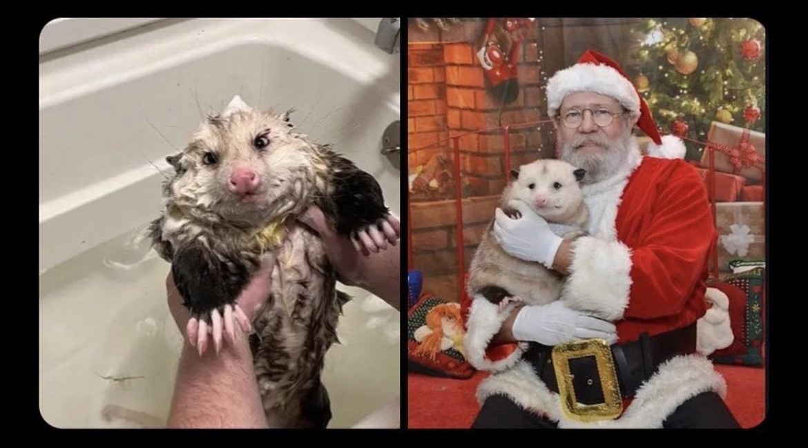 he got all cleaned up to see Santa credit Kuthibale on Reddit