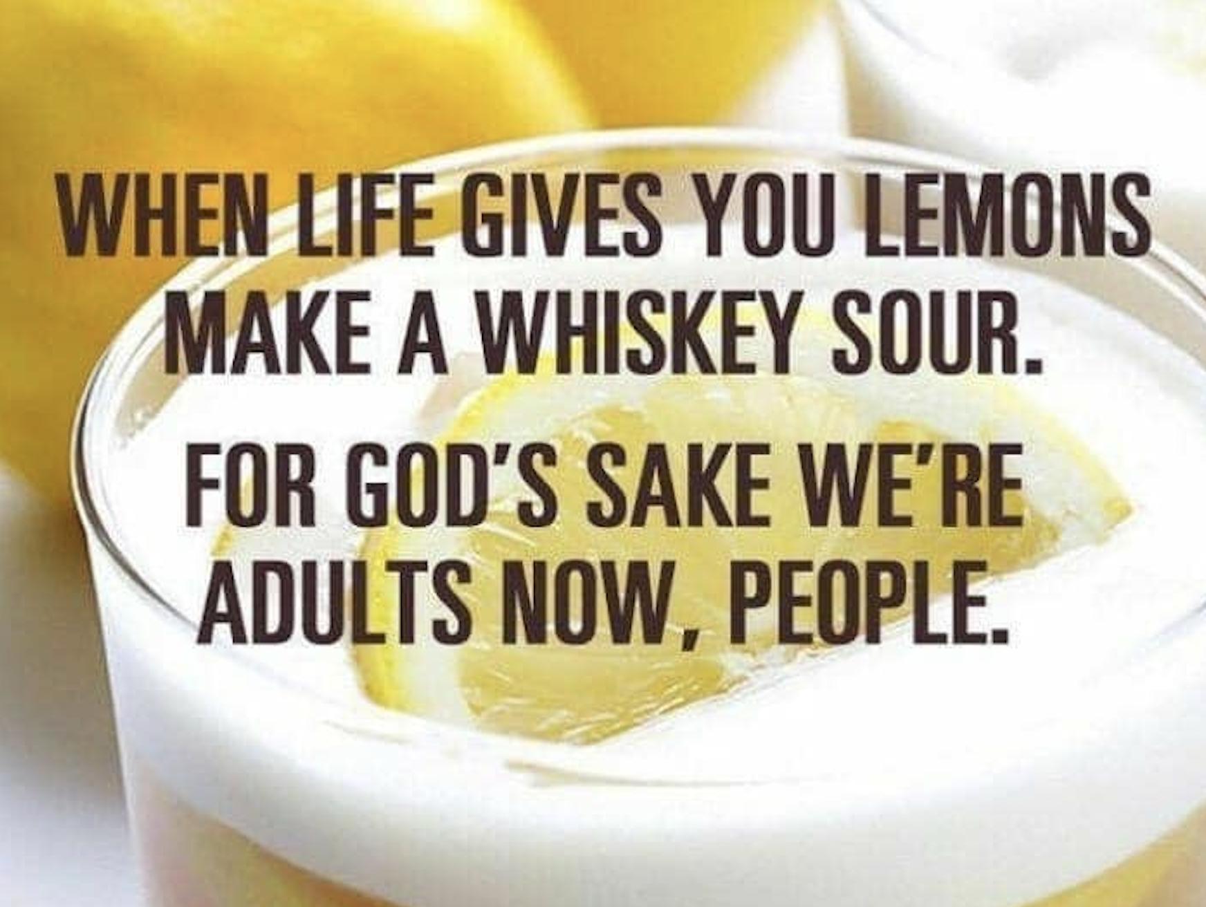 WHEN LIFE GIVES YOU LEMONS MAKE A WHISKEY SOUR FOR GODS SAKE WERE ADULTS NOW PEOPLE