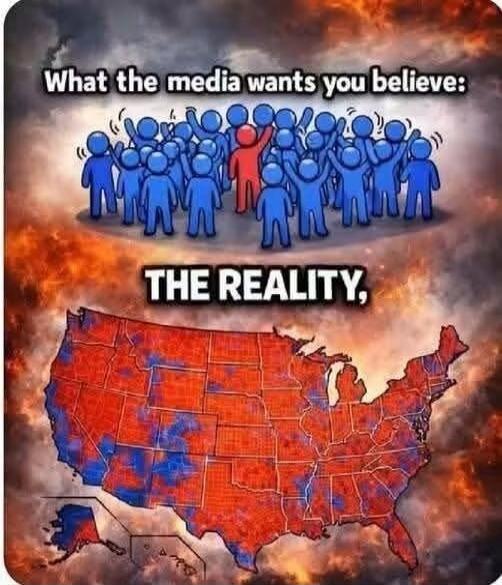 What the media wants you believe: THE REALITY