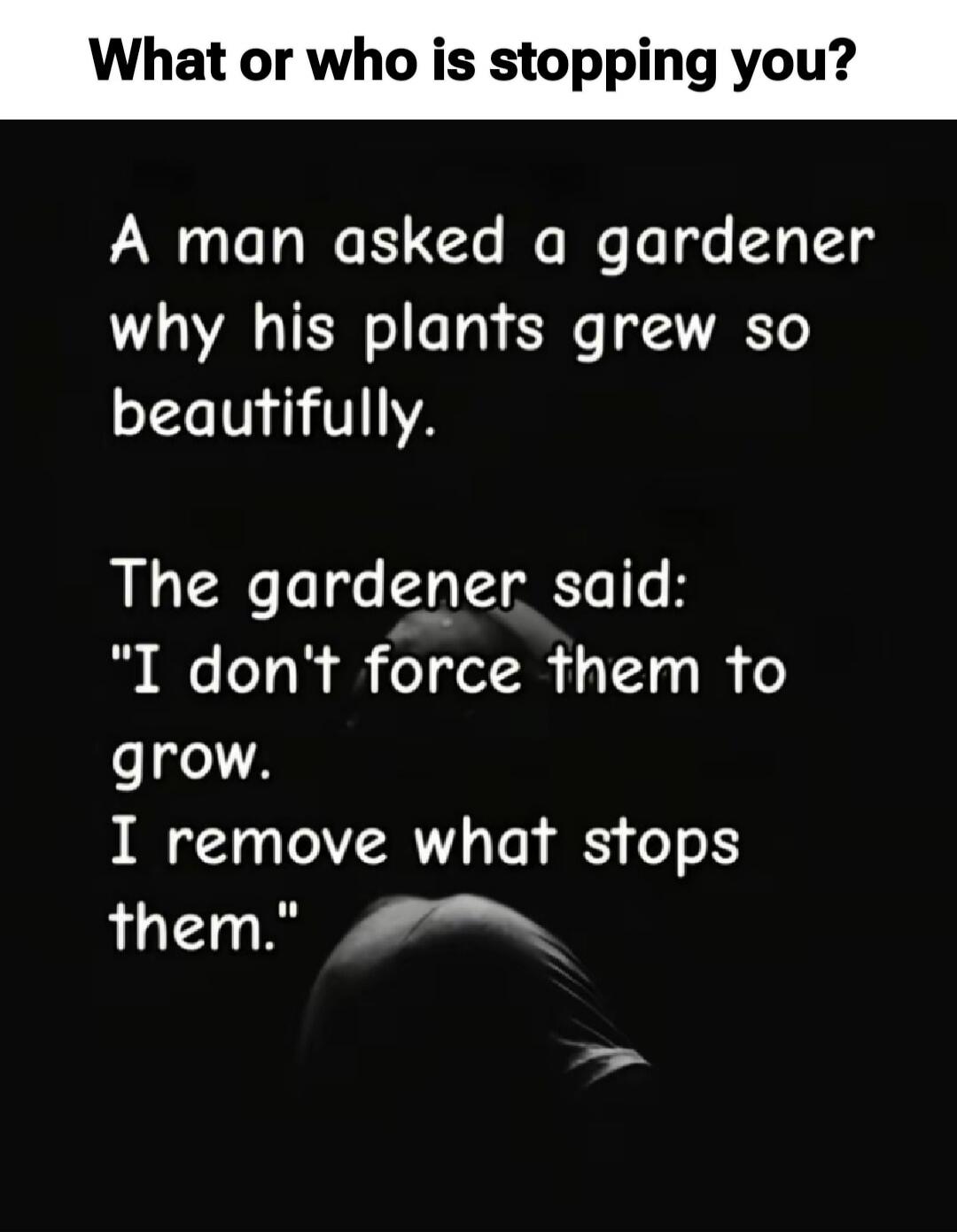 What or who is stopping you? A man asked a gardener why his plants grew so beautifully. The gardener said: 