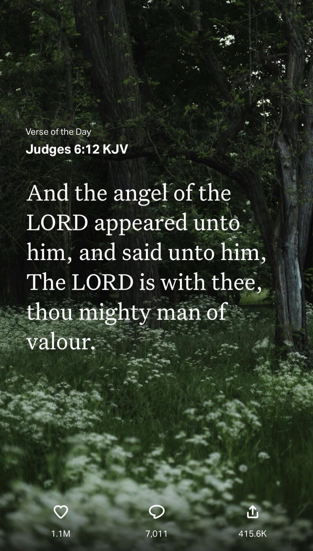 Verse of the Day
Judges 6:12 KJV

And the angel of the LORD appeared unto him, and said unto him, The LORD is with thee, thou mighty man of valour.
