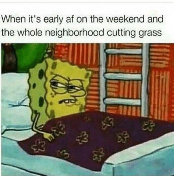 When it's early af on the weekend and the whole neighborhood cutting grass