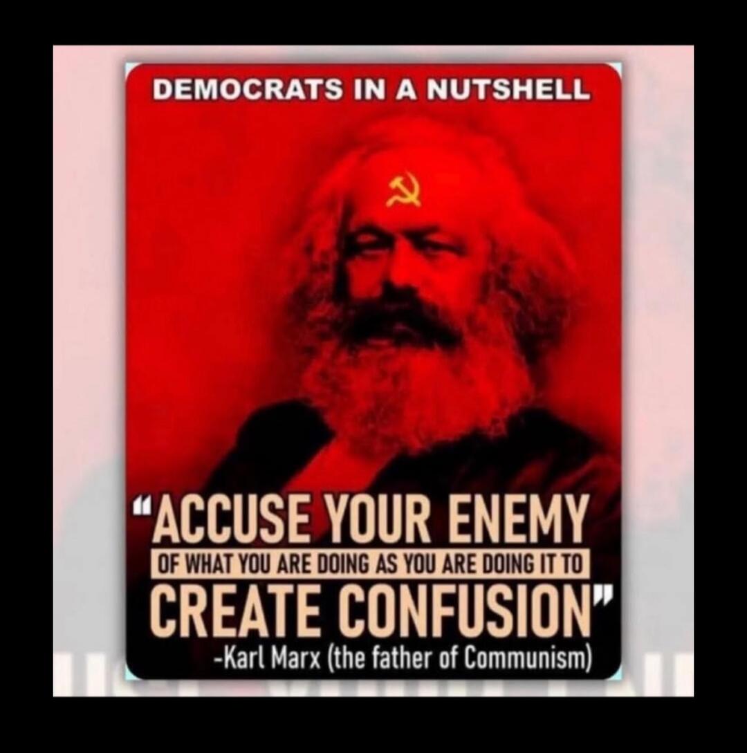 DEMOCRATS IN A NUTSHELL 