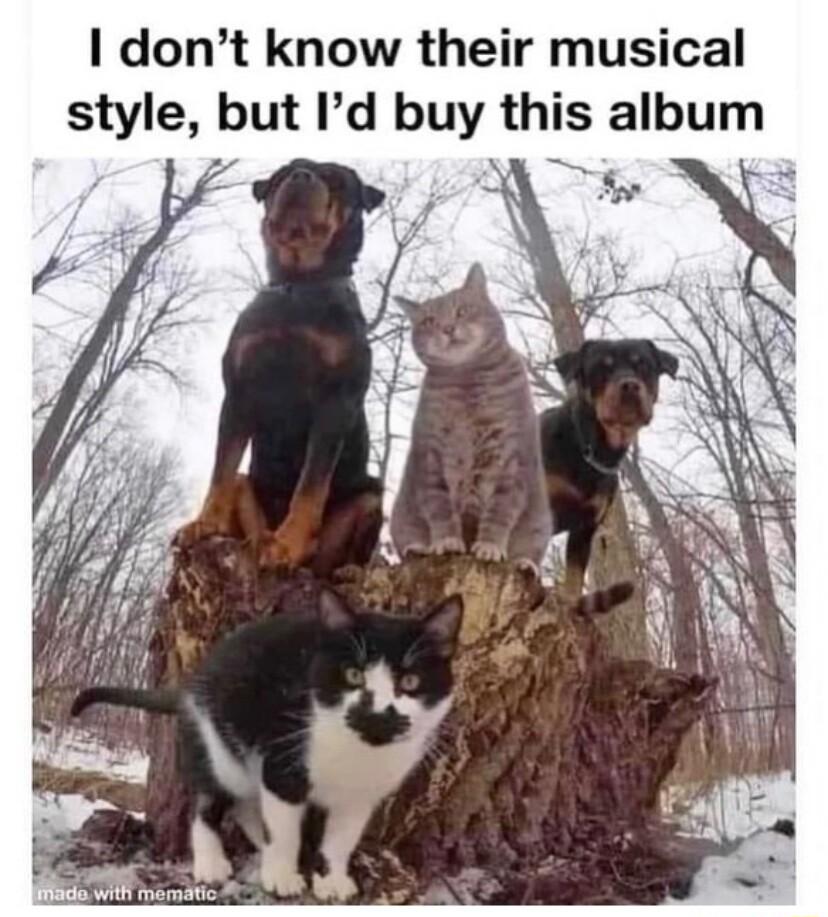 I dont know their musical style but Id buy this album B