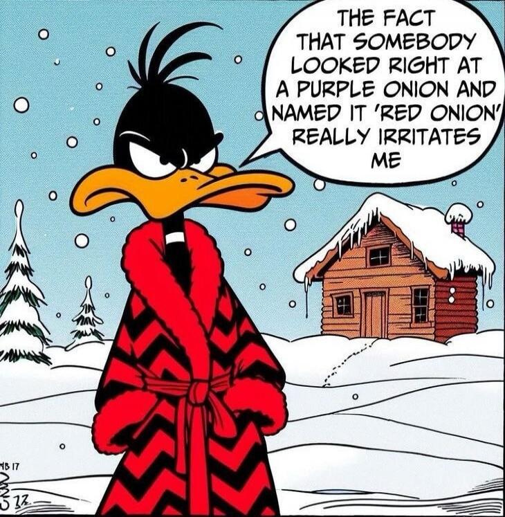 THE FACT THAT SOMEBODY LOOKED RIGHT AT A PURPLE ONION AND NAMED IT 'RED ONION' REALLY IRRITATES ME