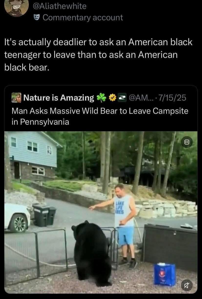 It's actually deadlier to ask an American black teenager to leave than to ask an American black bear. Nature is Amazing. Man Asks Massive Wild Bear to Leave Campsite in Pennsylvania. @Aliathewhite Commentary account.
