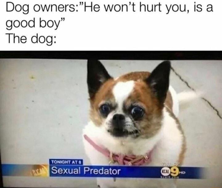 Dog ownersHe wont hurt you is a good boy The dog Sexual Predator