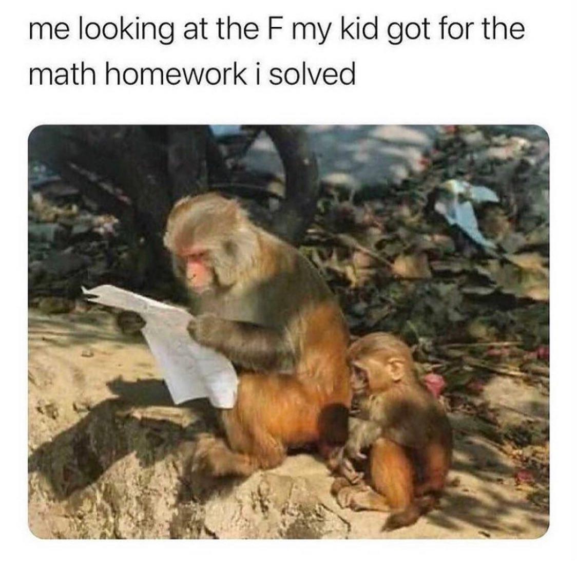 me looking at the F my kid got for the math homework i solved