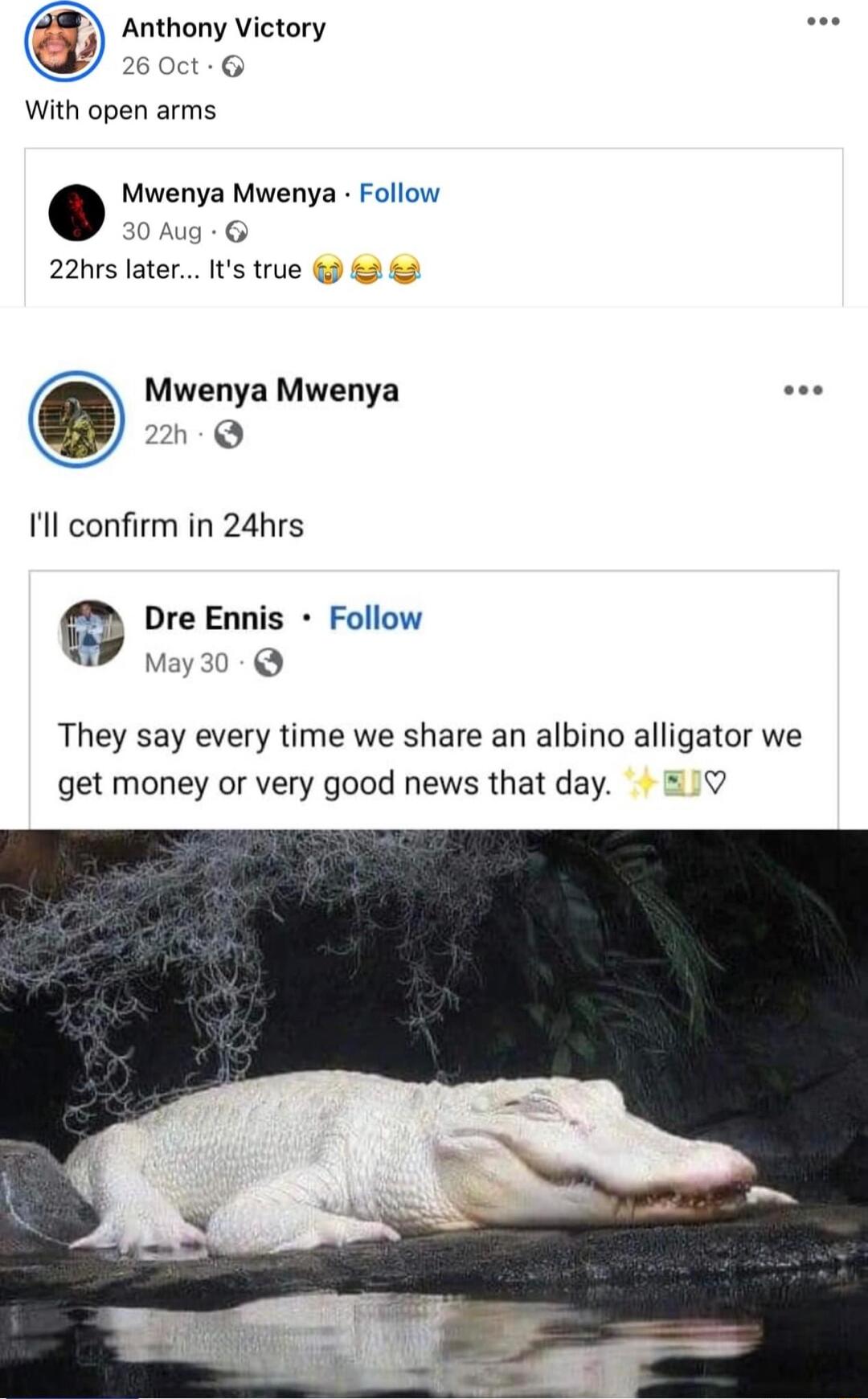 Anthony Victory 2 With open arms Mwenya Mwenya Follow 30 Aug 22hrs later Its true Mwenya Mwenya 2h Q Il confirm in 24hrs Dre Ennis Follow o They say every time we share an albino alligator we get money or very good news thatday 51V
