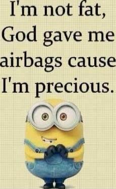 I'm not fat, God gave me airbags cause I'm precious.