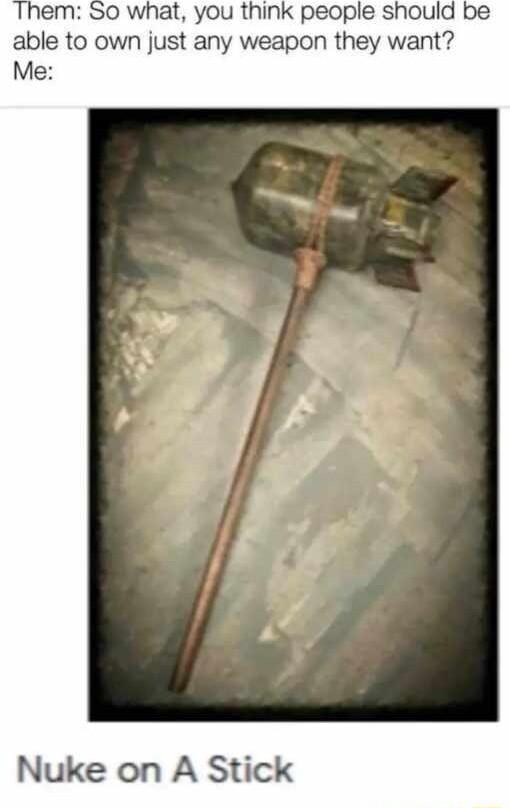 Them So what you think people should be able to own just any weapon they want Me Nuke on A Stick