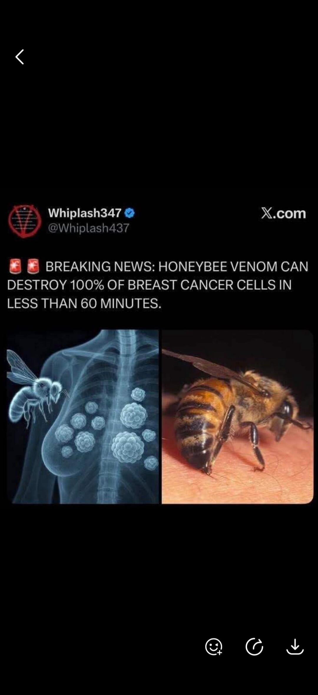 BREAKING NEWS: HONEYBEE VENOM CAN DESTROY 100% OF BREAST CANCER CELLS IN LESS THAN 60 MINUTES.