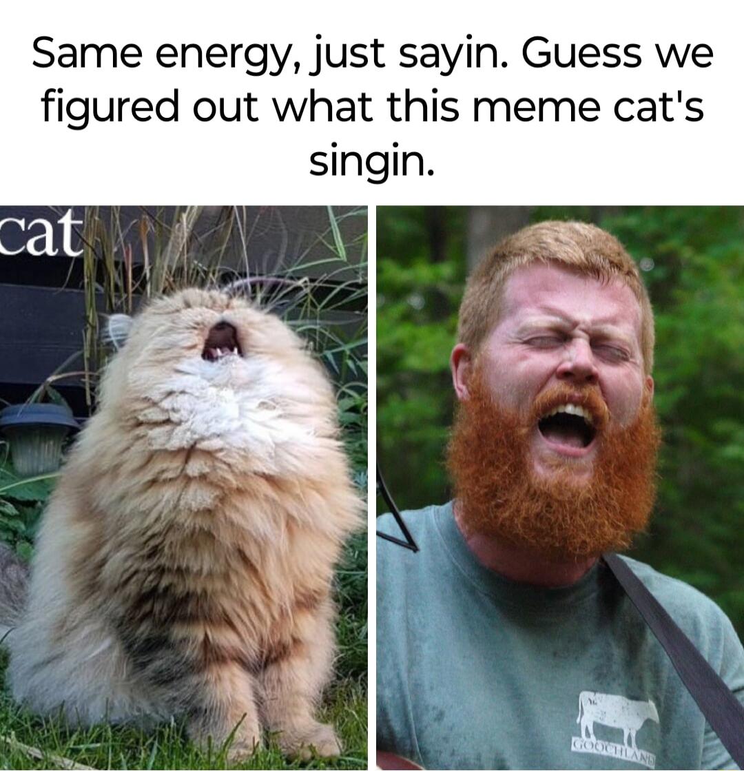 Same energy just sayin Guess we figured out what this meme cats singin