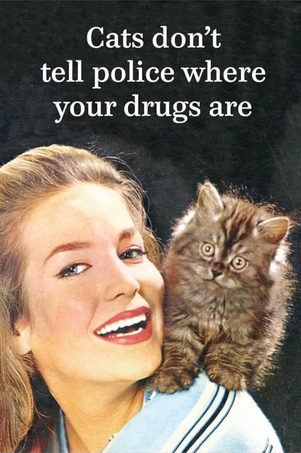 Cats dont tell police where your drugs are