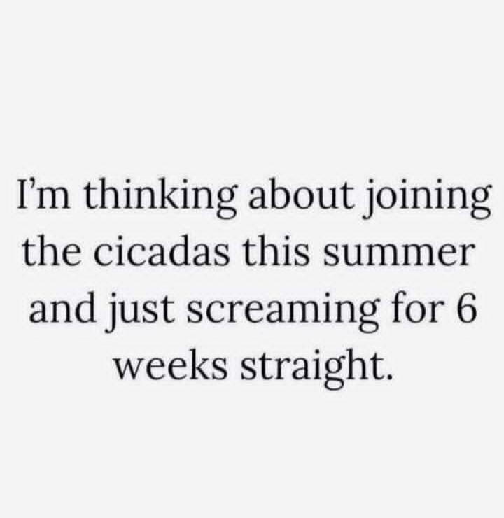 I'm thinking about joining the cicadas this summer and just screaming for 6 weeks straight.