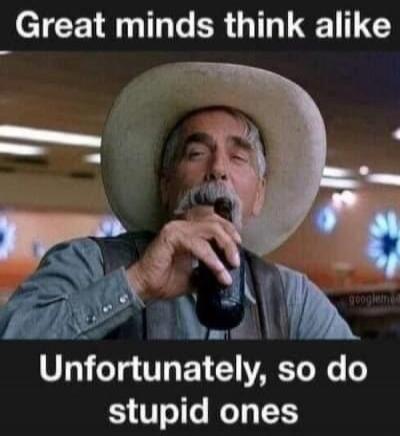 Great minds think alike. Unfortunately, so do stupid ones.