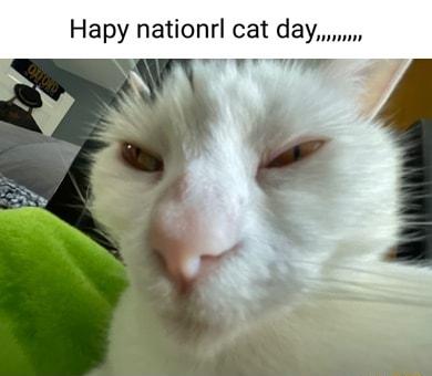 Hapy nationrl cat day