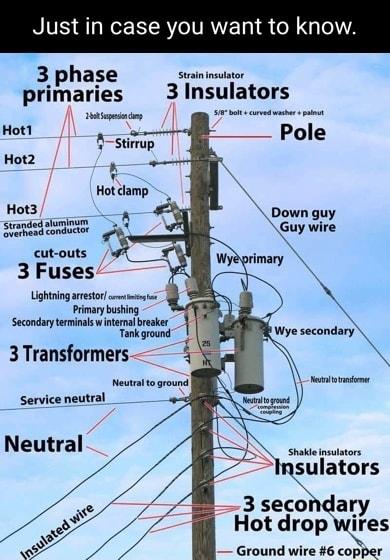 Just in case you want to know 3 phase Stainnsulator primaries 3 Insulators W T T T Hot1 i Stivap Pole Ngll Hot clamp Hot3 Down guy st 8 Goyire cut outs 3 Fuses Lightning arestor ety Primary bushing Secondary terminals wintesmal breaker Tank ground 3 Transformers Neutraltoground Nt _ Serviceneutral Neutral Shakle insulators sulators 3 secoMa Hot dropmres Ground wire 6 copper