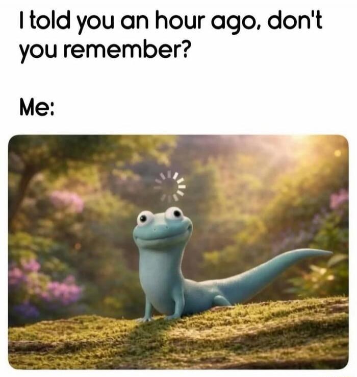 I told you an hour ago, don't you remember? Me:
