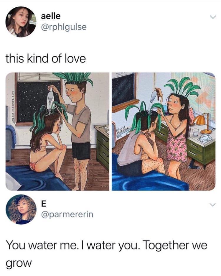 aelle rphigulse this kind of love E parmererin You water me water you Together we grow