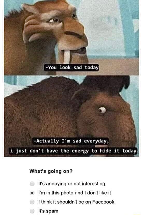 Actually Im sad everyday i just dont have the energy to hide it today Whats going on Its annoying or not interesting e Imin this photo and dont fike it I think it shouldnt be on Facebook Its spam