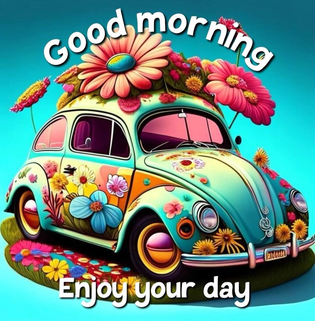 Good morning
Enjoy your day