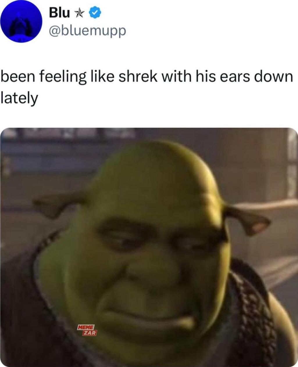 been feeling like shrek with his ears down lately