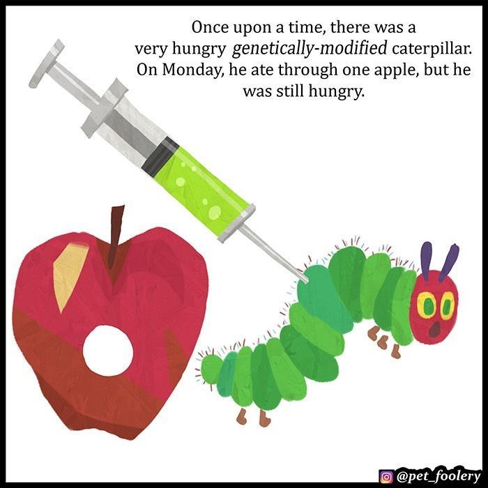 Once upon a time there was a very hungry genetically modified caterpillar On Monday he ate through one apple but he was still hungry