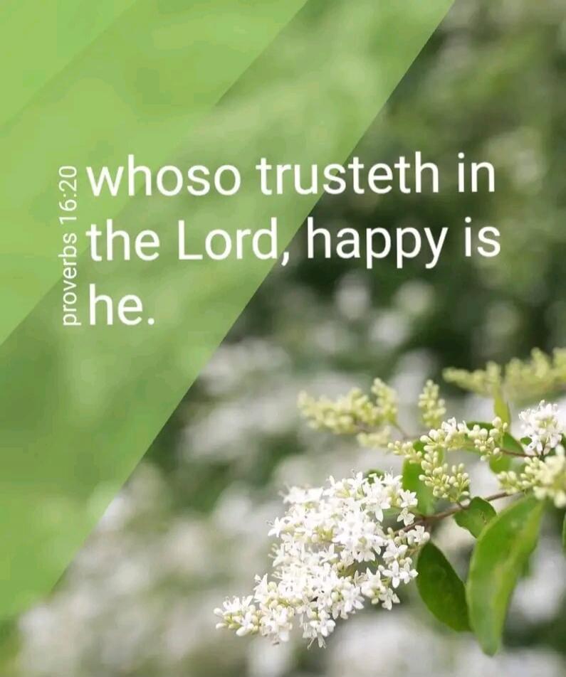 proverbs 16:20 whoso trusteth in the Lord, happy is he.