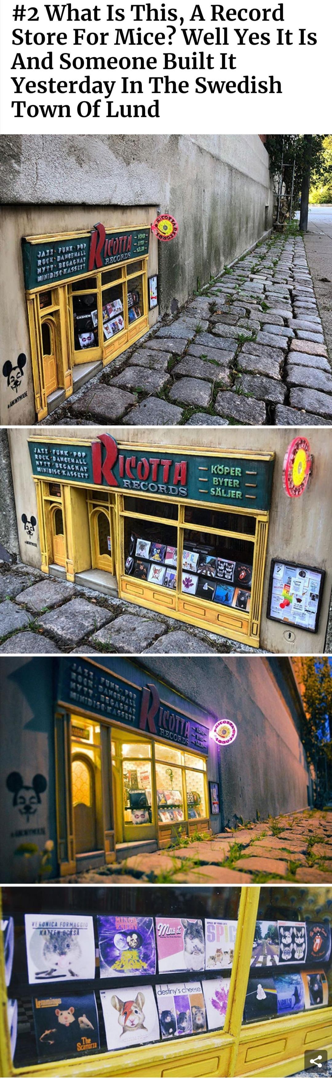 2 What Is This A Record Store For Mice Well Yes It Is And Someone Built It Yesterday In The Swedish Town Of Lund