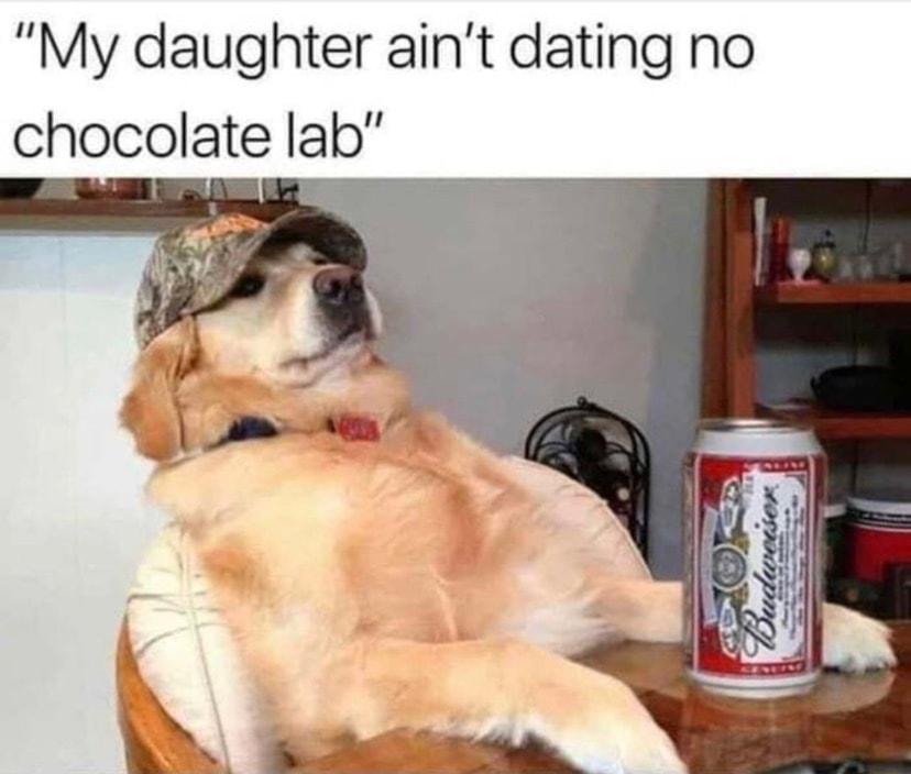 My daughter aint dating no chocolate lab