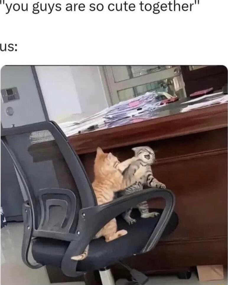 you guys are so cute together