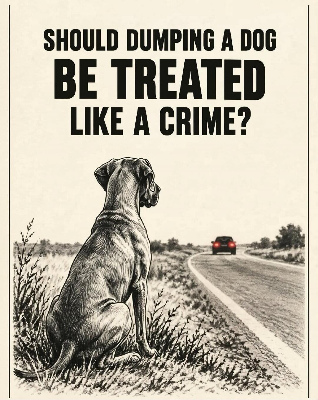 SHOULD DUMPING A DOG BE TREATED LIKE A CRIME?