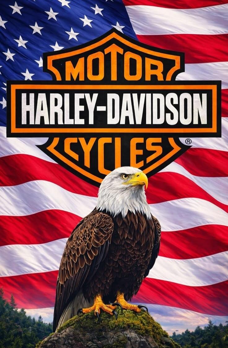 MOTOR HARLEY-DAVIDSON CYCLES