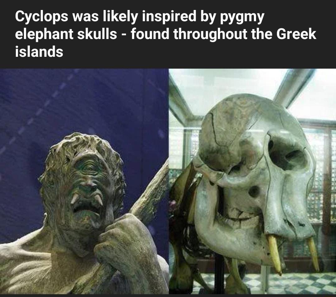 Cyclops was likely inspired by pygmy elephant skulls found throughout the Greek SENLE