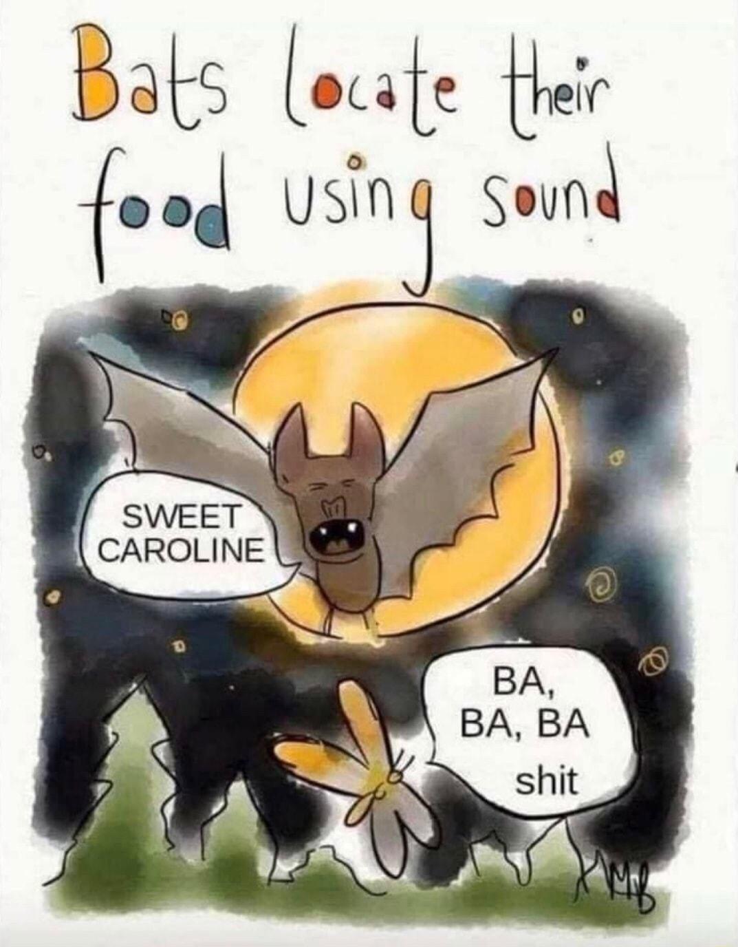 Bats out w
